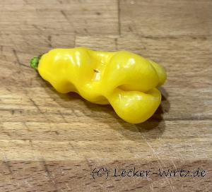 Gelbe Habanero