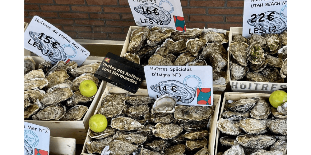 Neun Kisten Austern auf dem Austernmarkt in Trouville-sur-Mer.