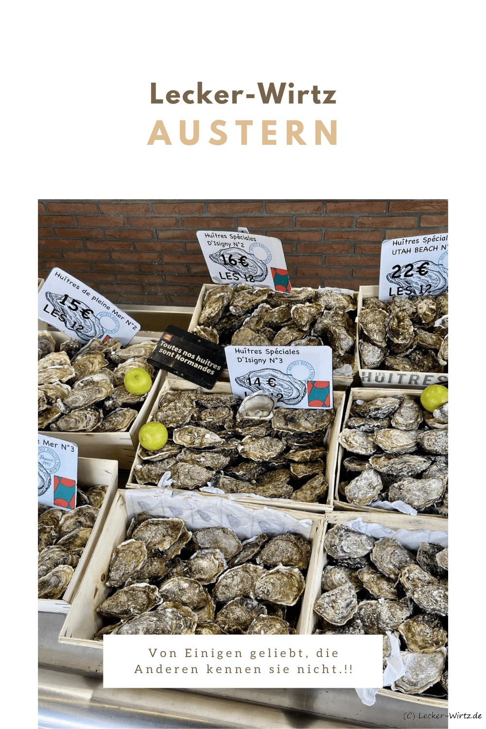 Neun Kisten Austern auf dem Austernmarkt in Trouville-sur-Mer.