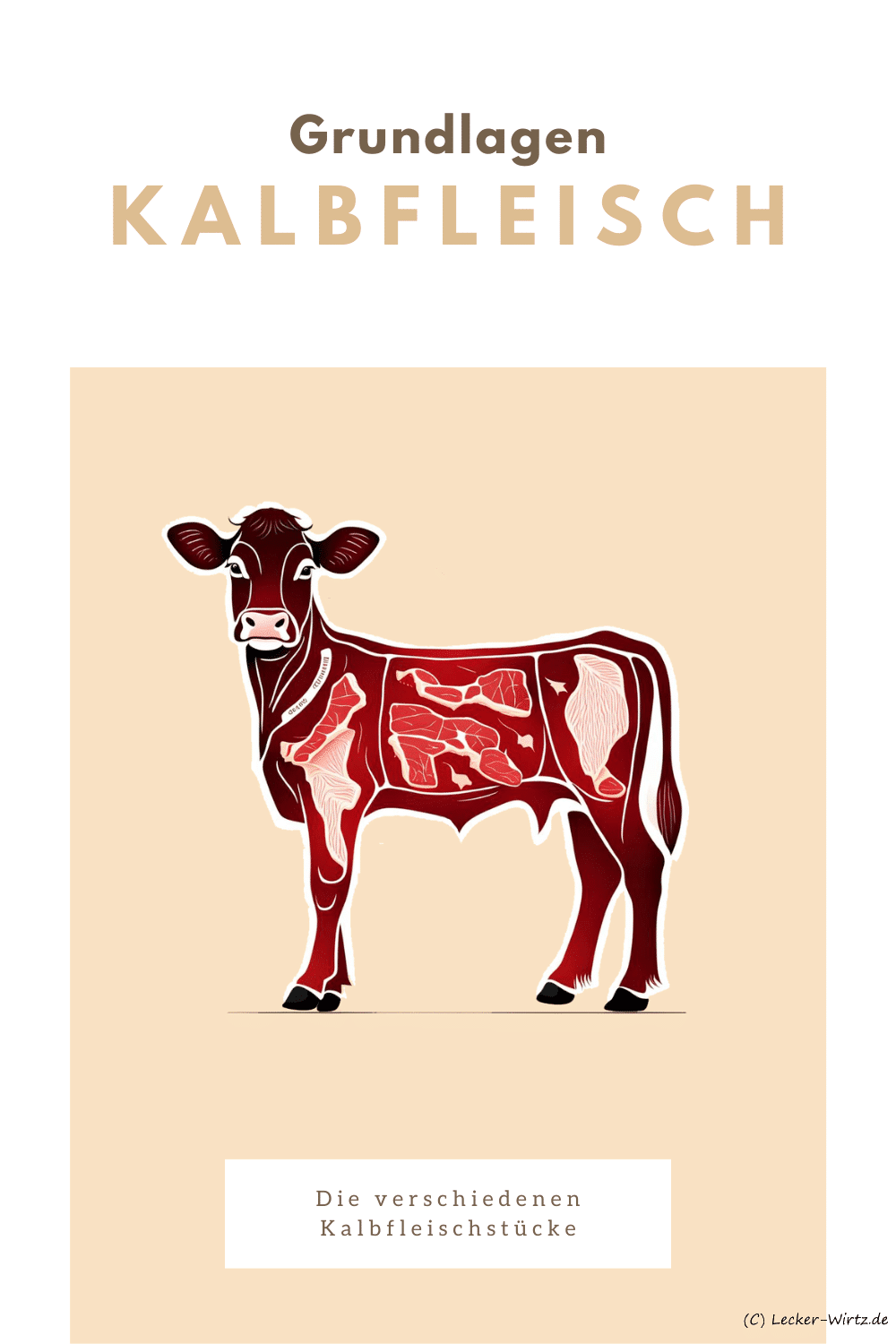 Das Bild zeigt ein angedeutetes Diagramm eines Kalbs und den verschiedenen Kalbfleisch stücken, die im Artikel näher beschrieben werden.