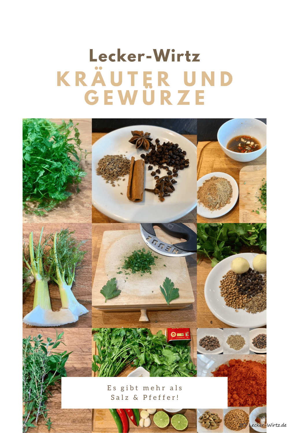 Eine Collage von neun Bildern, die unterschiedliche Kräuter, Gewürze und Gewürzmischungen zeigen. In der Mitte ein Wiegemesser zum Kräuter hacken.