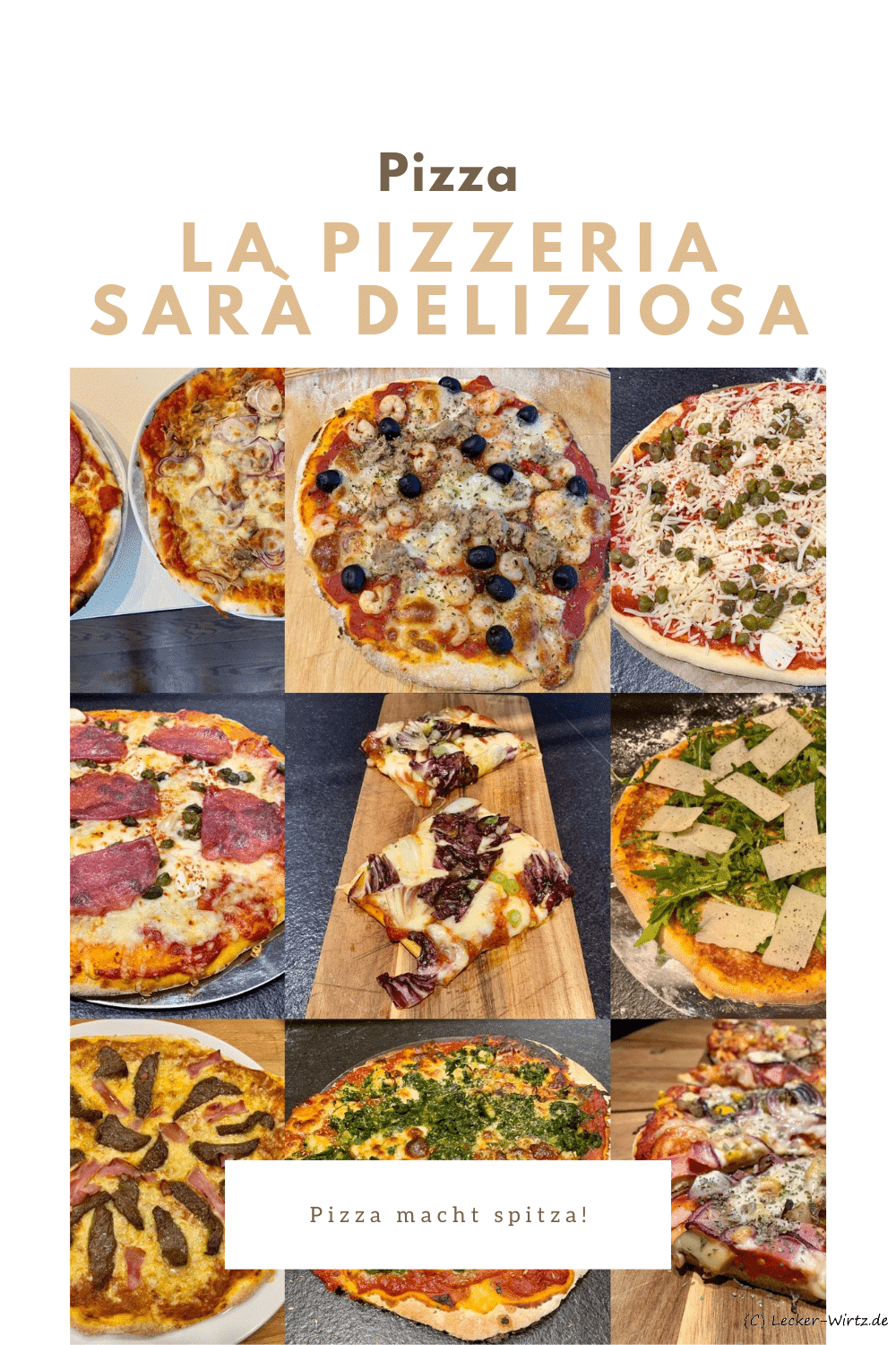 Eine Collage von neun verschiedenen Pizzen. Auf der Seite werden sie einzelnen Pizza Rezepte verlinkt.