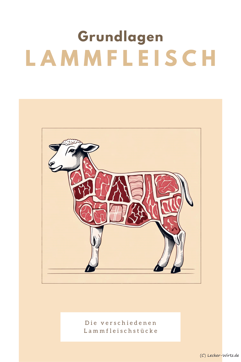 Das Bild zeigt ein angedeutetes Diagramm eines Lamms und den verschiedenen Lammfleisch stücken, die im Artikel näher beschrieben werden.
