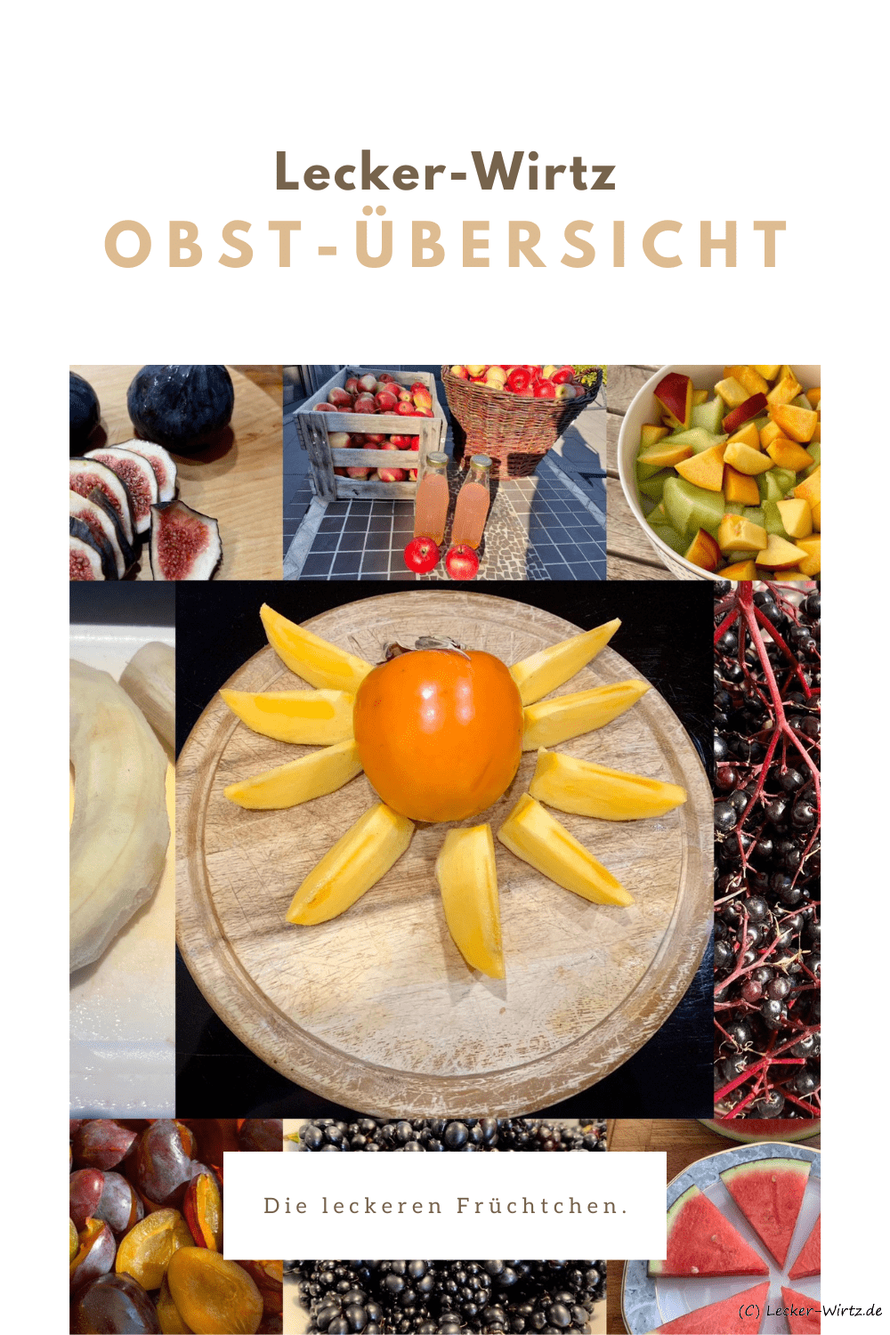 Ein Collage von verschiedenen Obst Bildern. Mango, Banane, Melone, Brombeere, Pflaumen, Holunder, Obstsalat