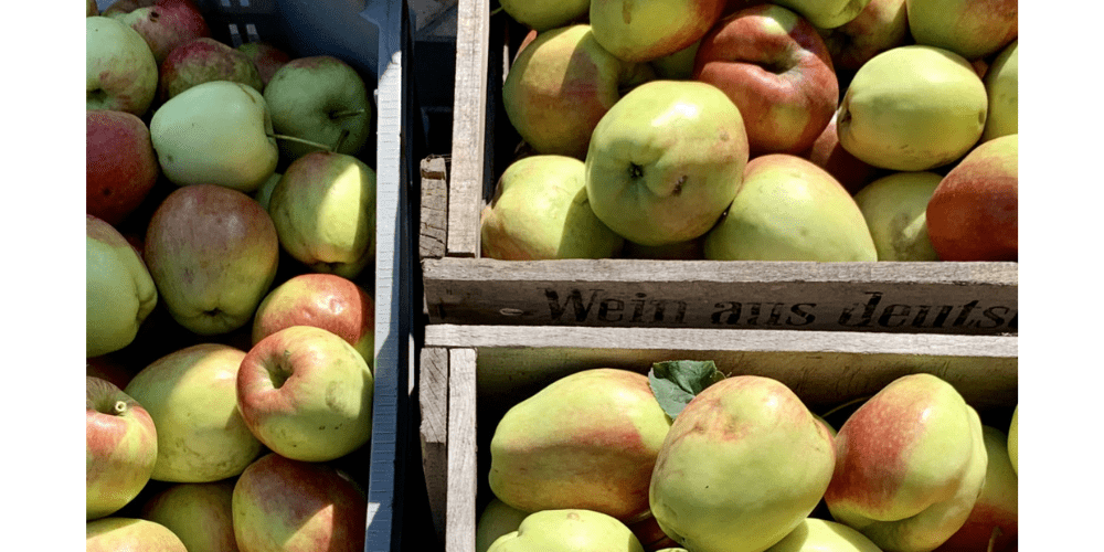 Apfel