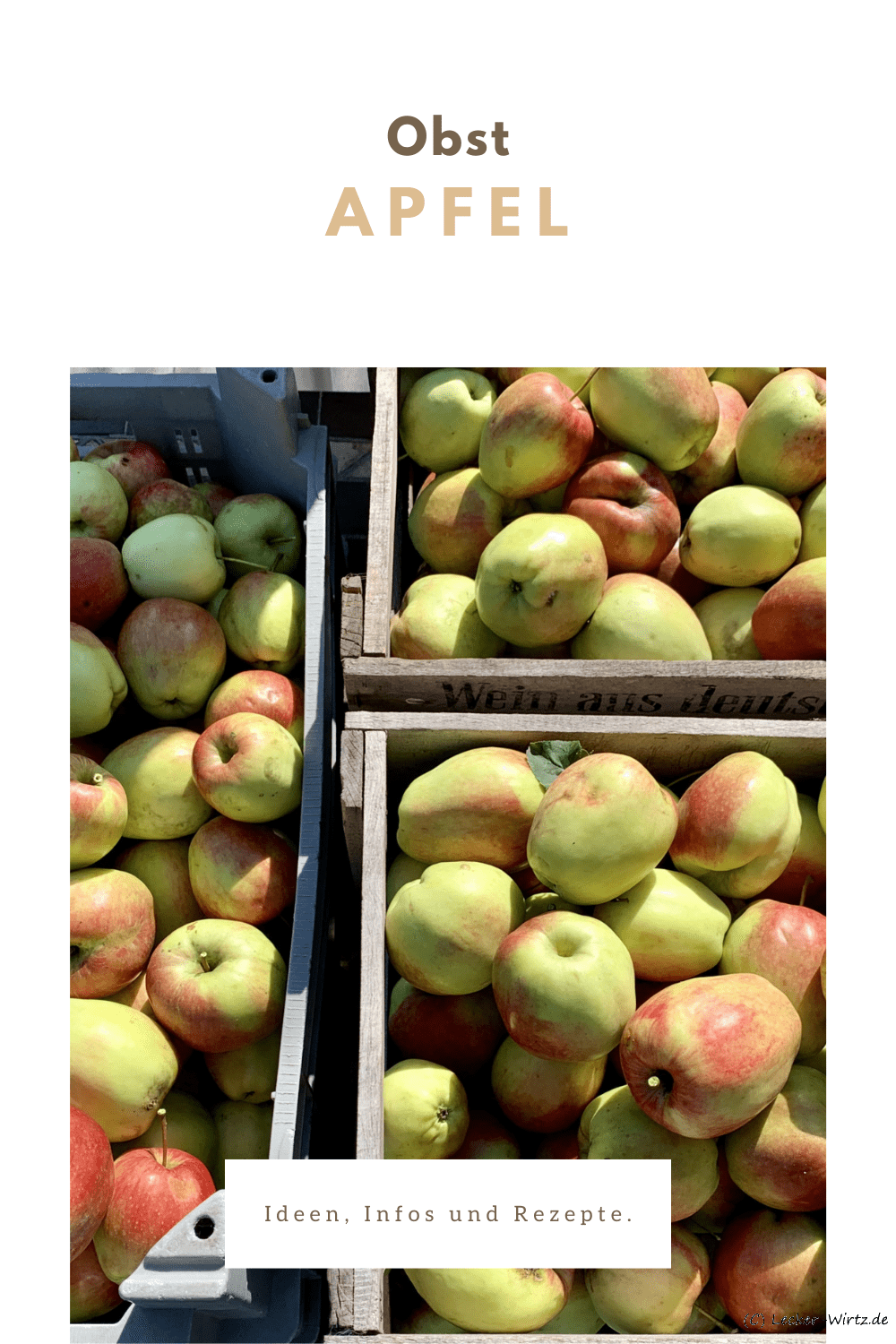 Apfel