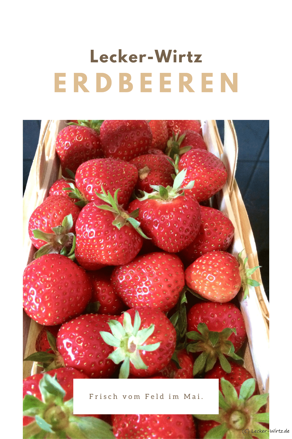 Erdbeeren