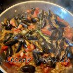 Bouchot-Muscheln aus dem Charentais