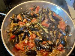 Bouchot-Muscheln aus dem Charentais
