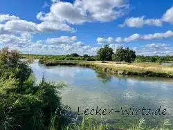 naturbelassenes Claire im Becken von Arcachon