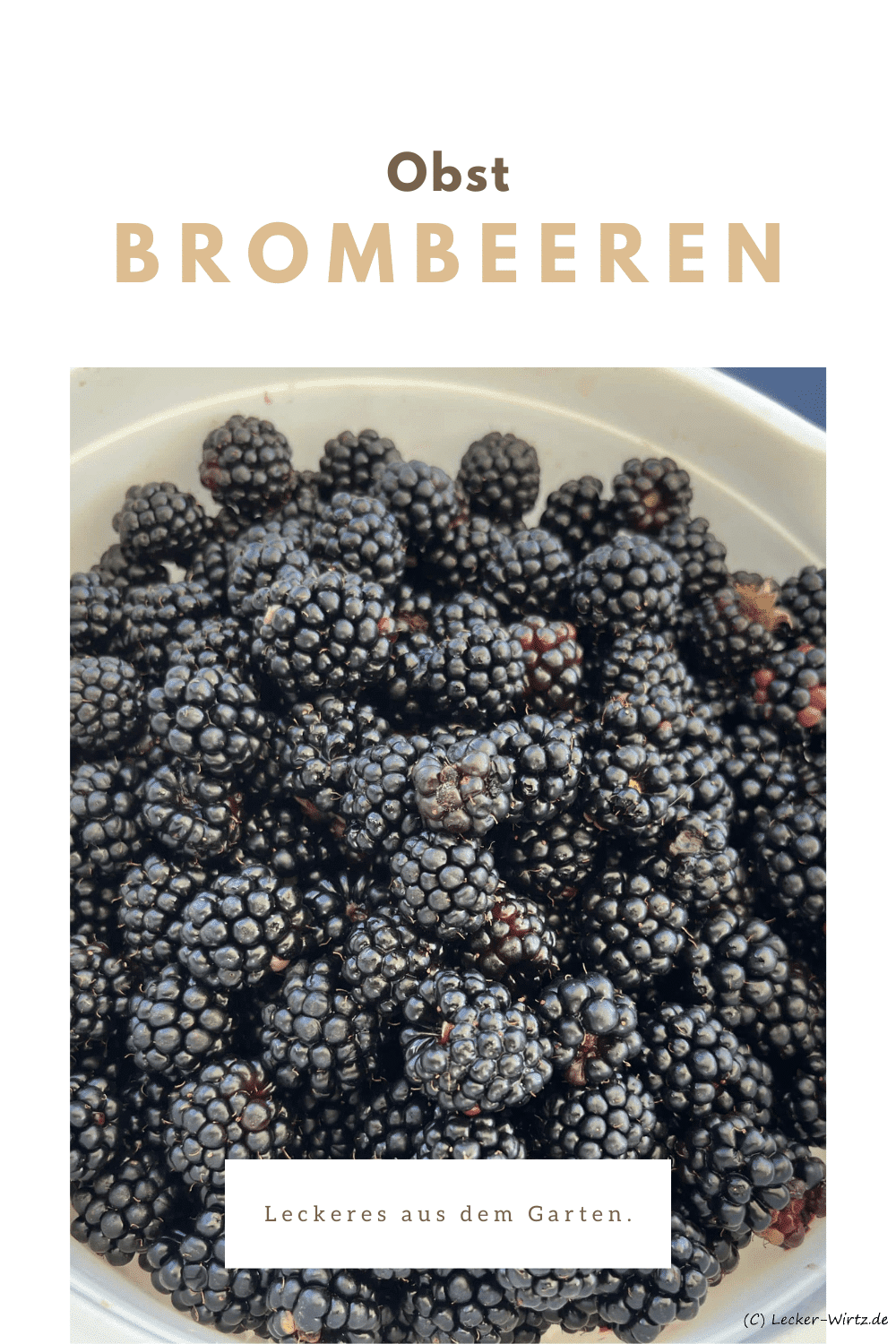 Brombeeren