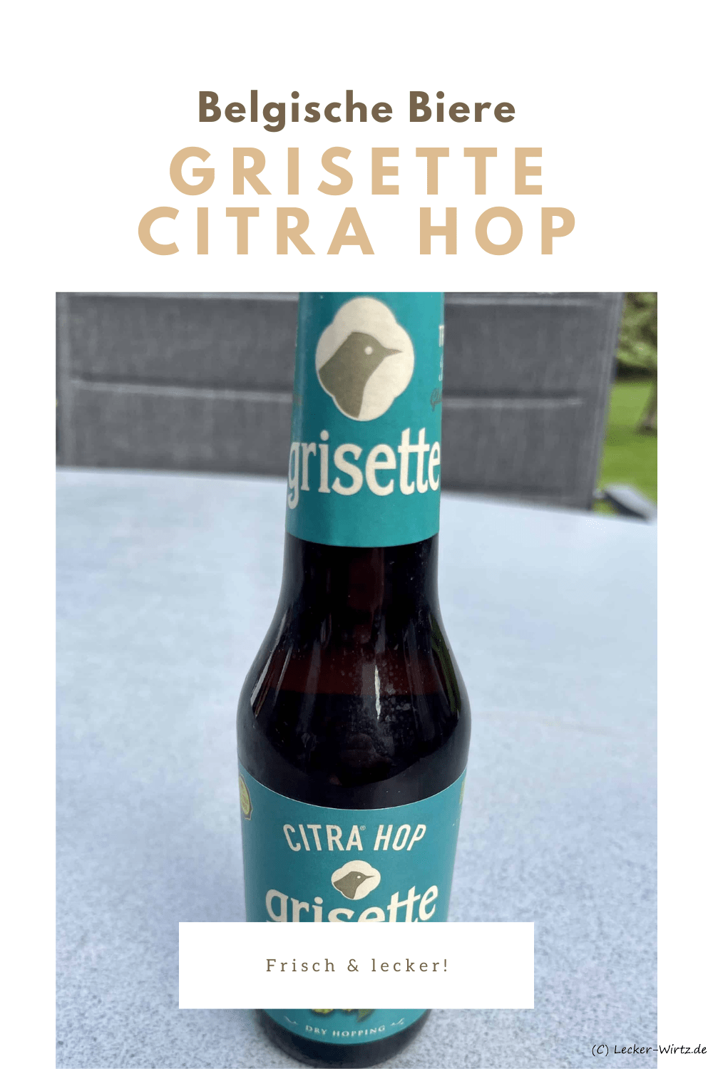 Grisette Citra Hop