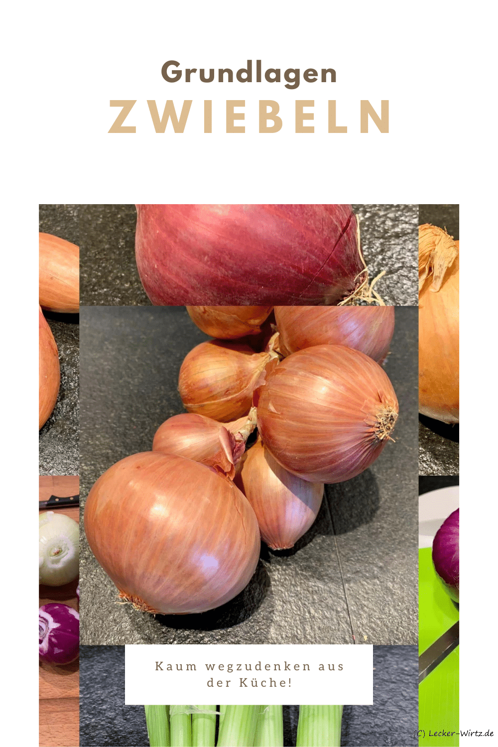Zwiebeln in vielen Sorten