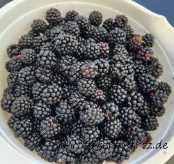 Brombeeren