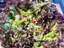 Gemischter Salat mit Minz-Dressing