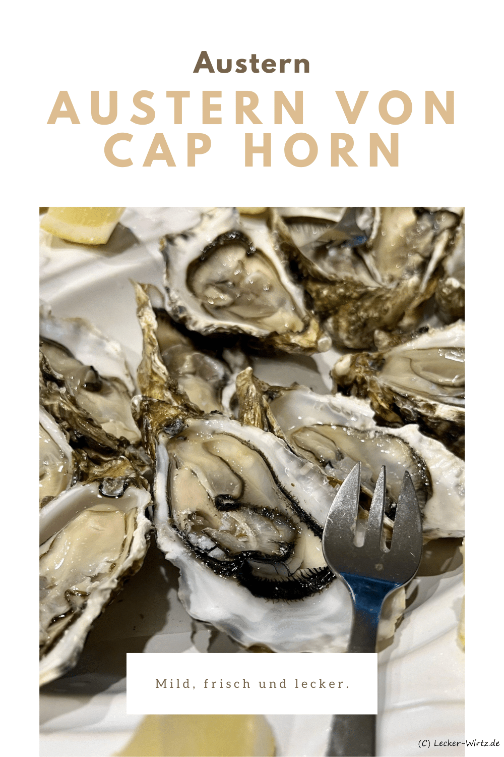 Austern von Cap Horn
