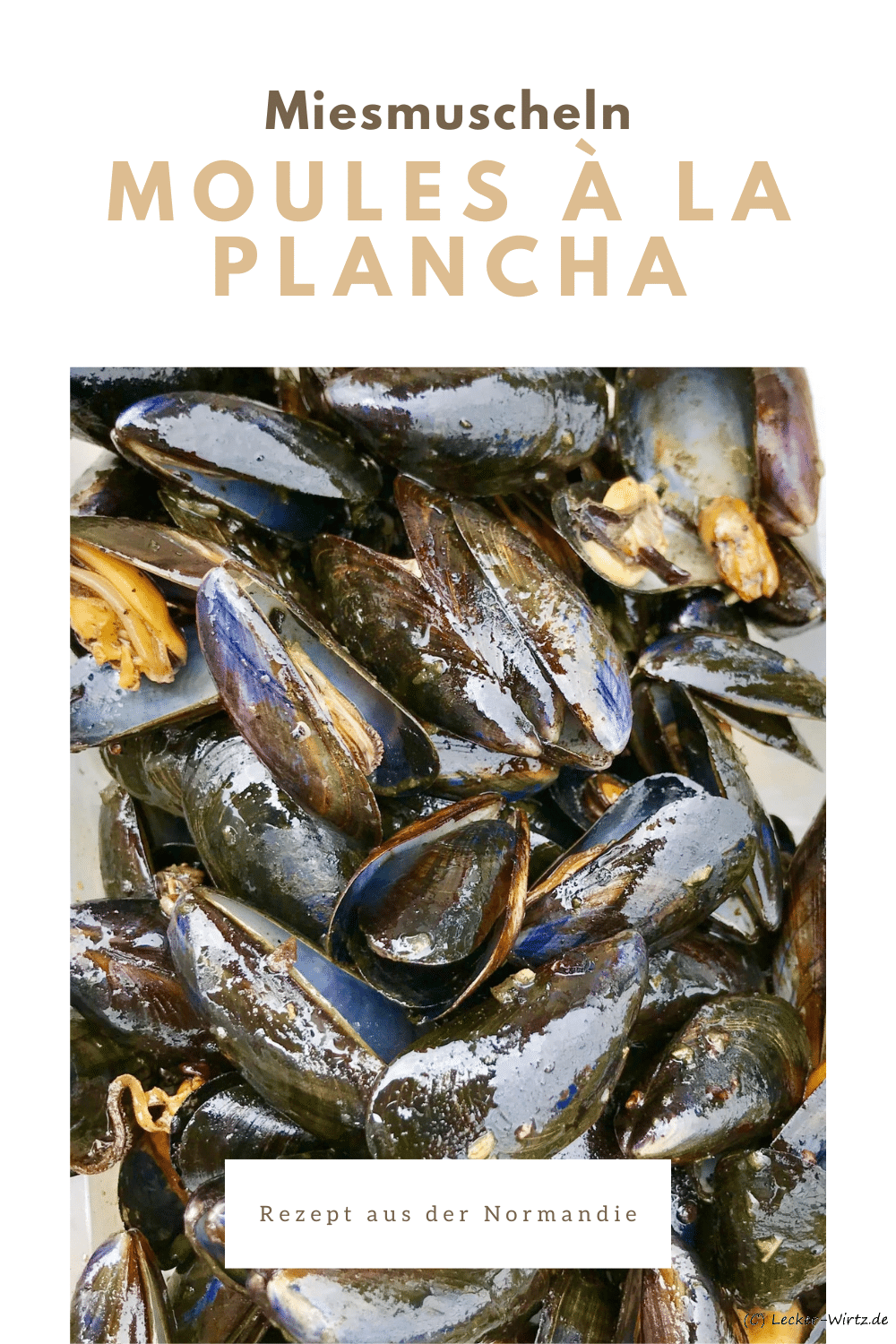 Moules à la Plancha – Rezept aus der Normandie