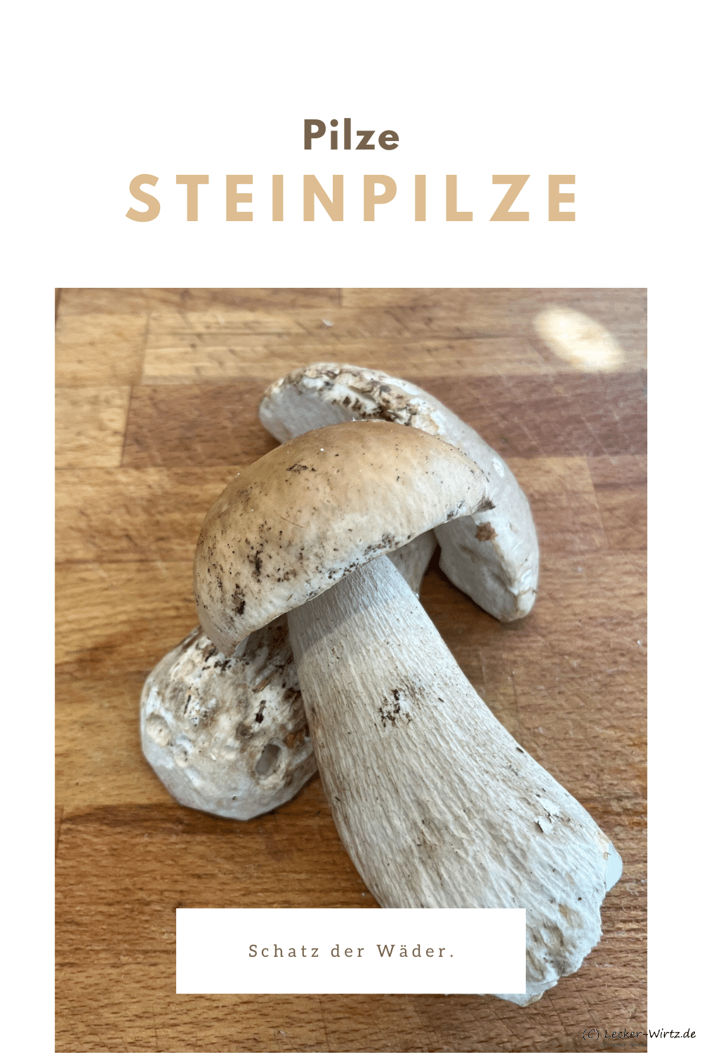 Steinpilze