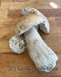 Steinpilz
