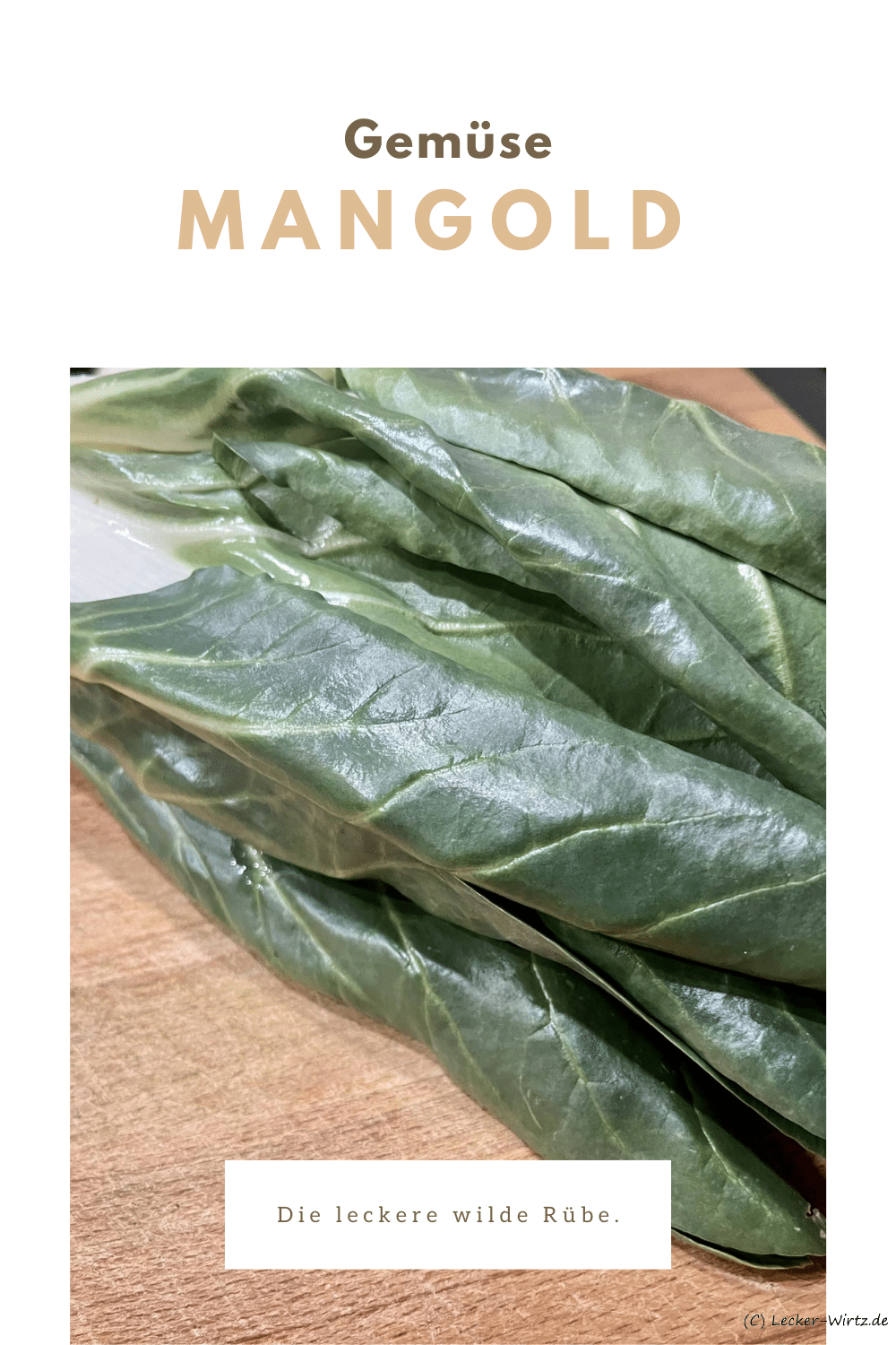 Mangold