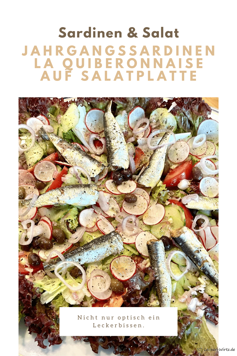 Jahrgangssardinen La Quiberonnaise auf Salatplatte mit Radieschen