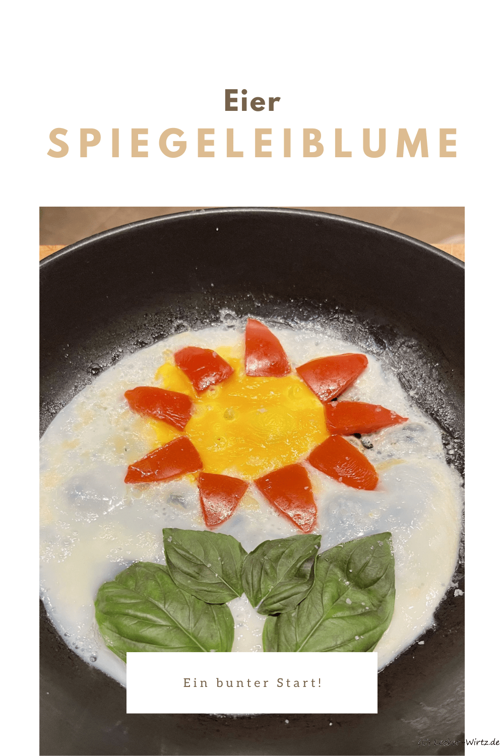 Spiegeleiblume
