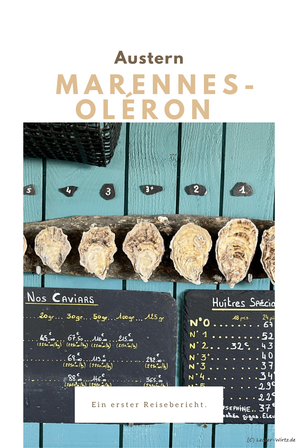 Austern aus Marennes-Oléron – Nouvelle-Aquitaine