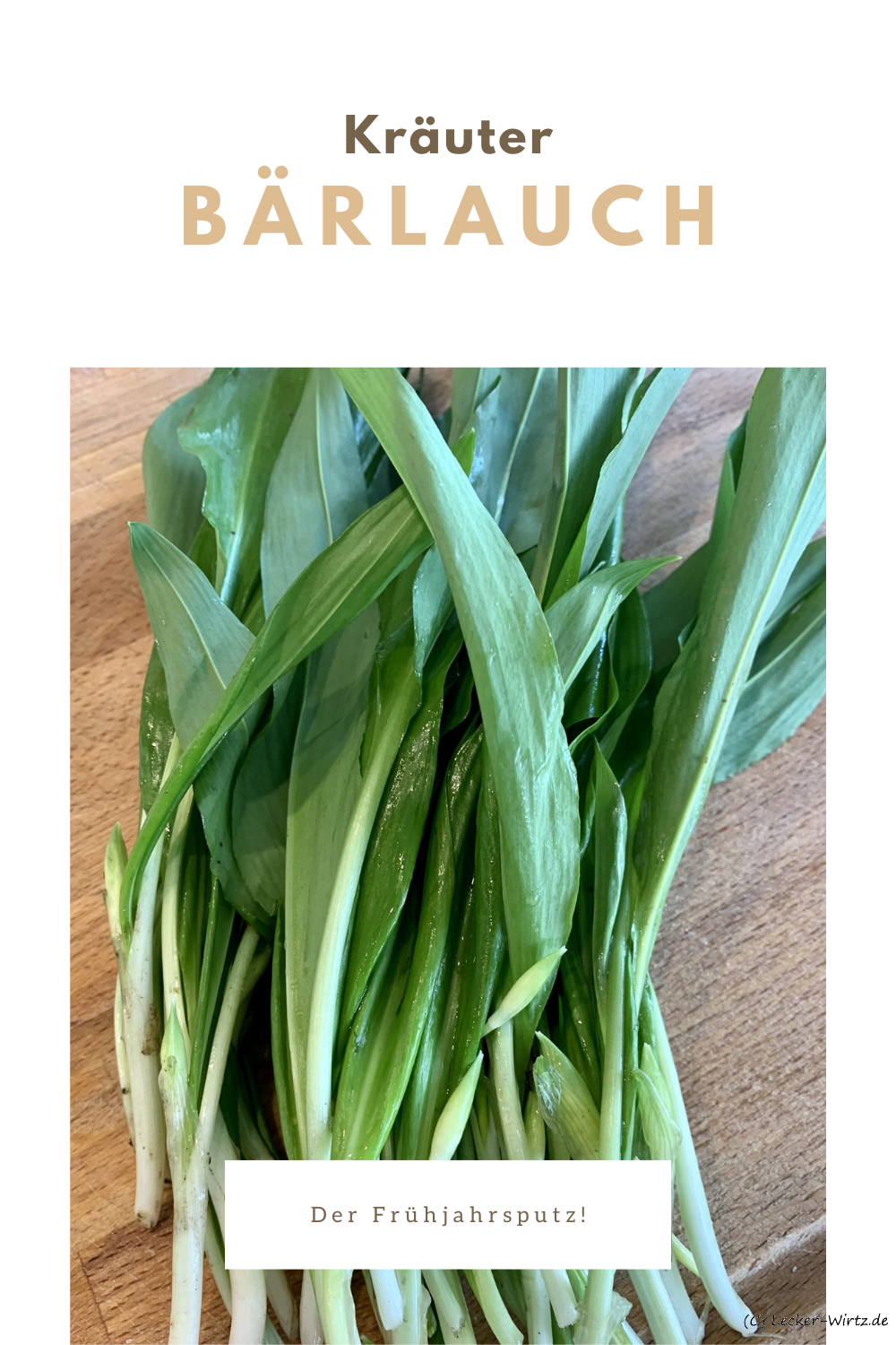 Bärlauch