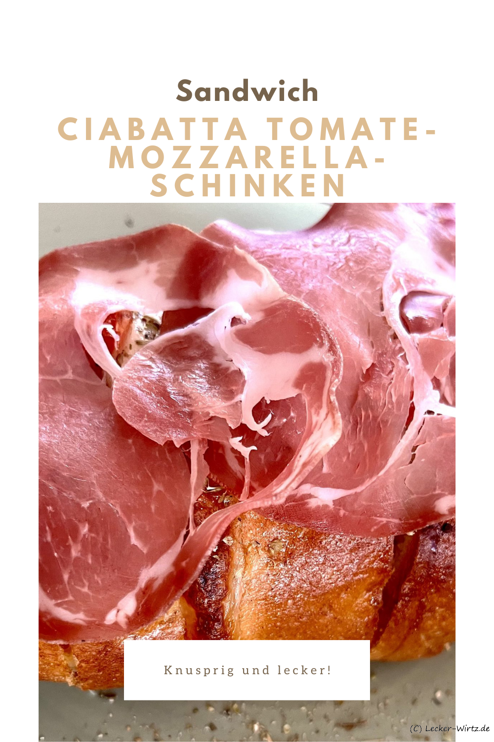 Ciabatta Tomate-Mozzarella-Schinken