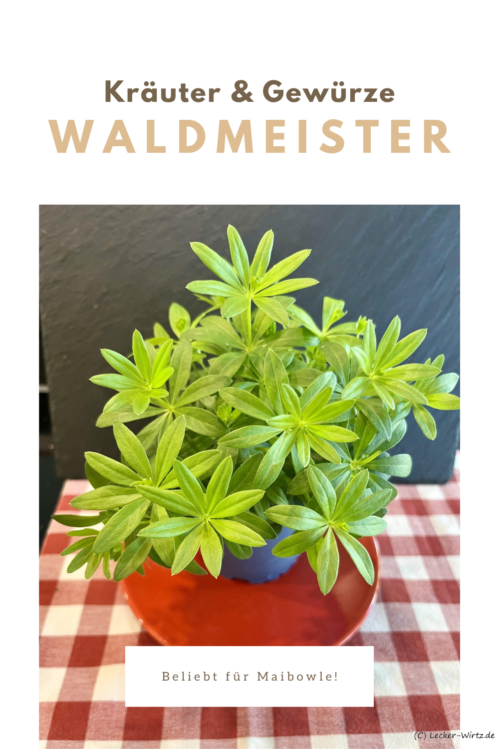 Waldmeister