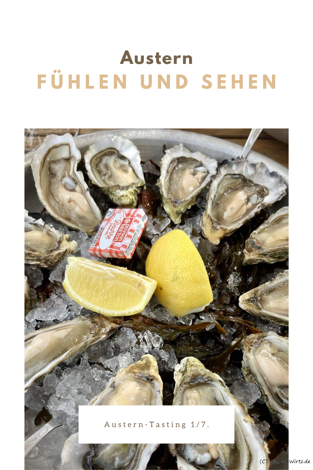 Austern-Tasting – Austern Fühlen und Sehen