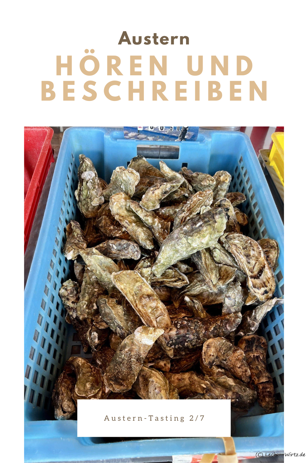 Austern-Tasting – Austern Hören und Beschreiben