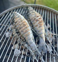 Mediterraner Wolfsbarsch vom Schwenkgrill