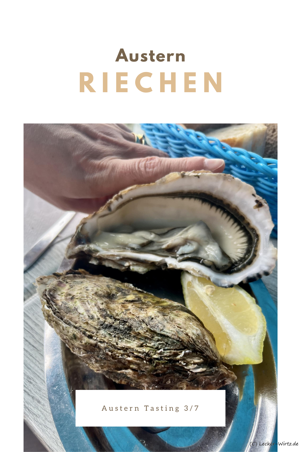 Austern-Tasting – Austern Riechen