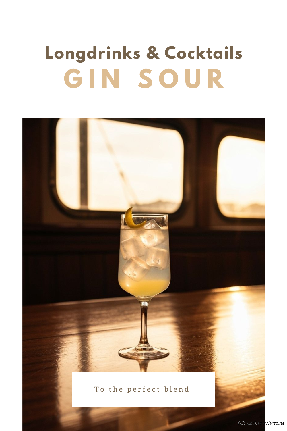 Gin Sour