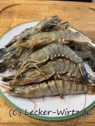 Black Tiger Gambas 16-20