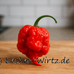 Carolina Reaper