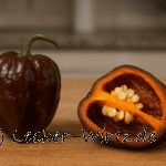 Chocolate Habanero