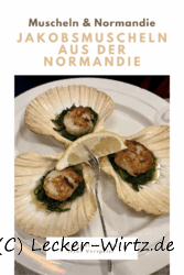 Jakobsmuscheln aus der Normandie