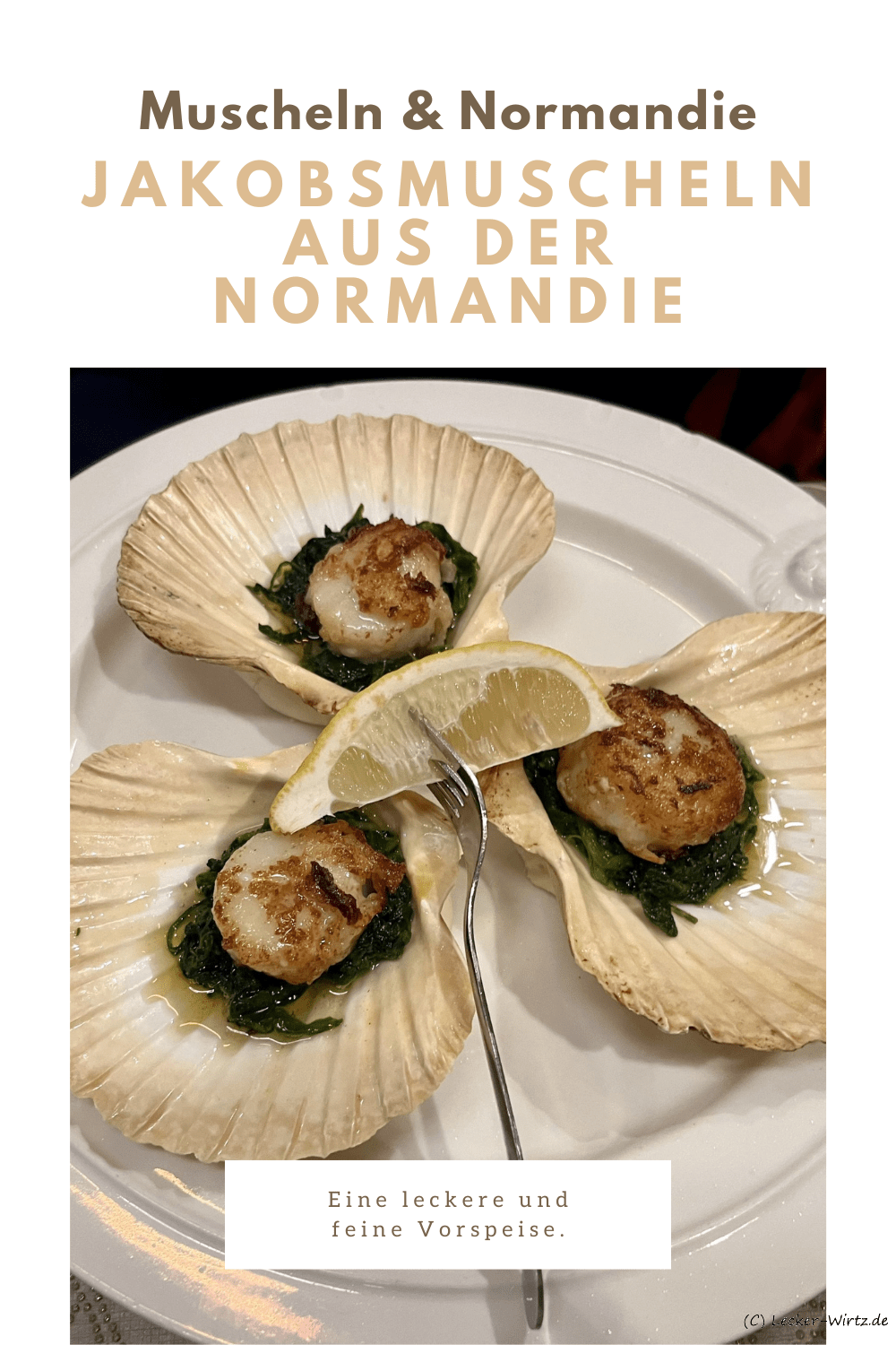 Jakobsmuscheln aus der Normandie