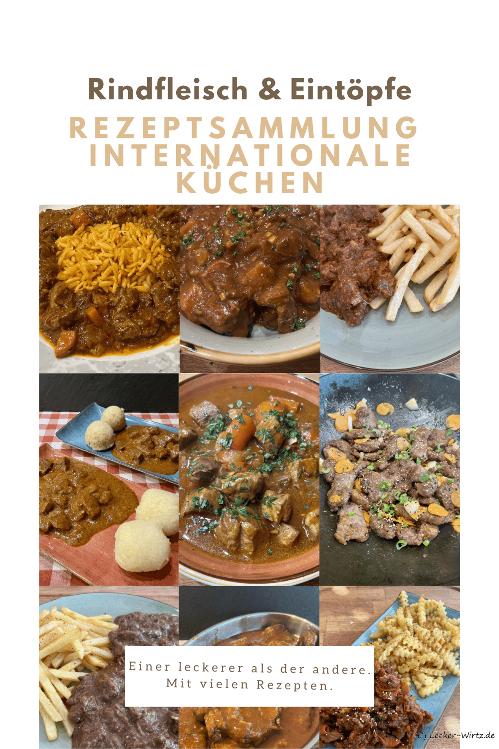 Rindfleischeintöpfe der internationalen Küche