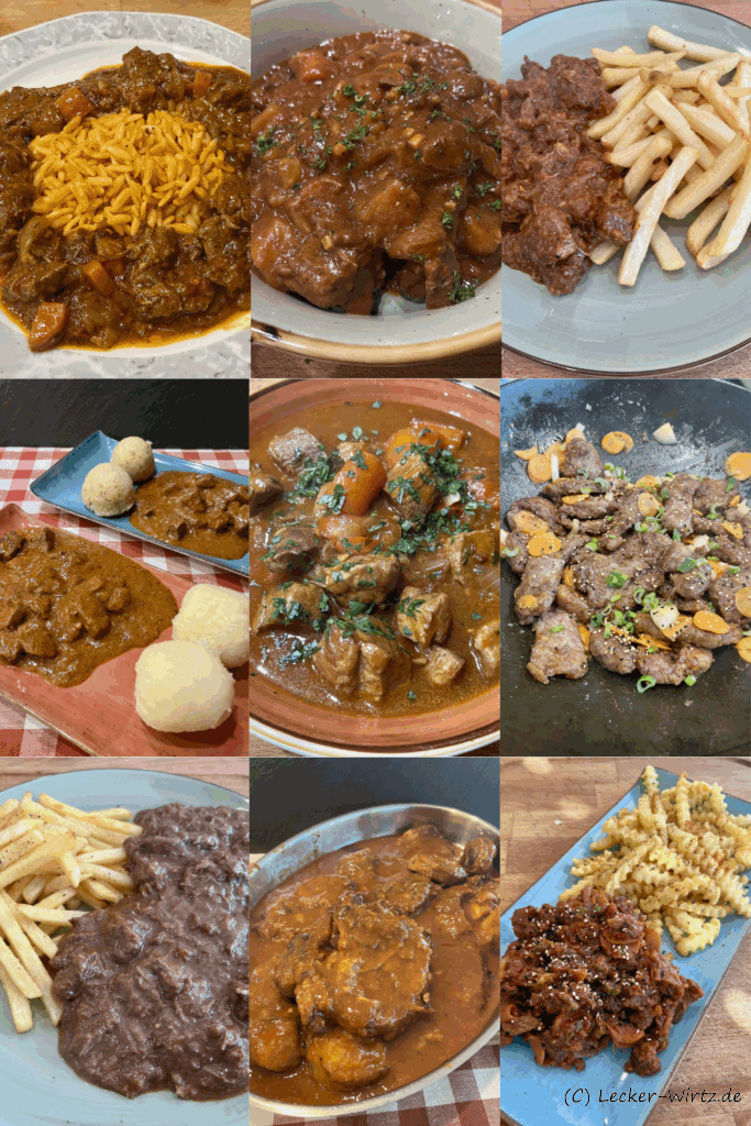 Rindfleischeintöpfe der internationalen Küche