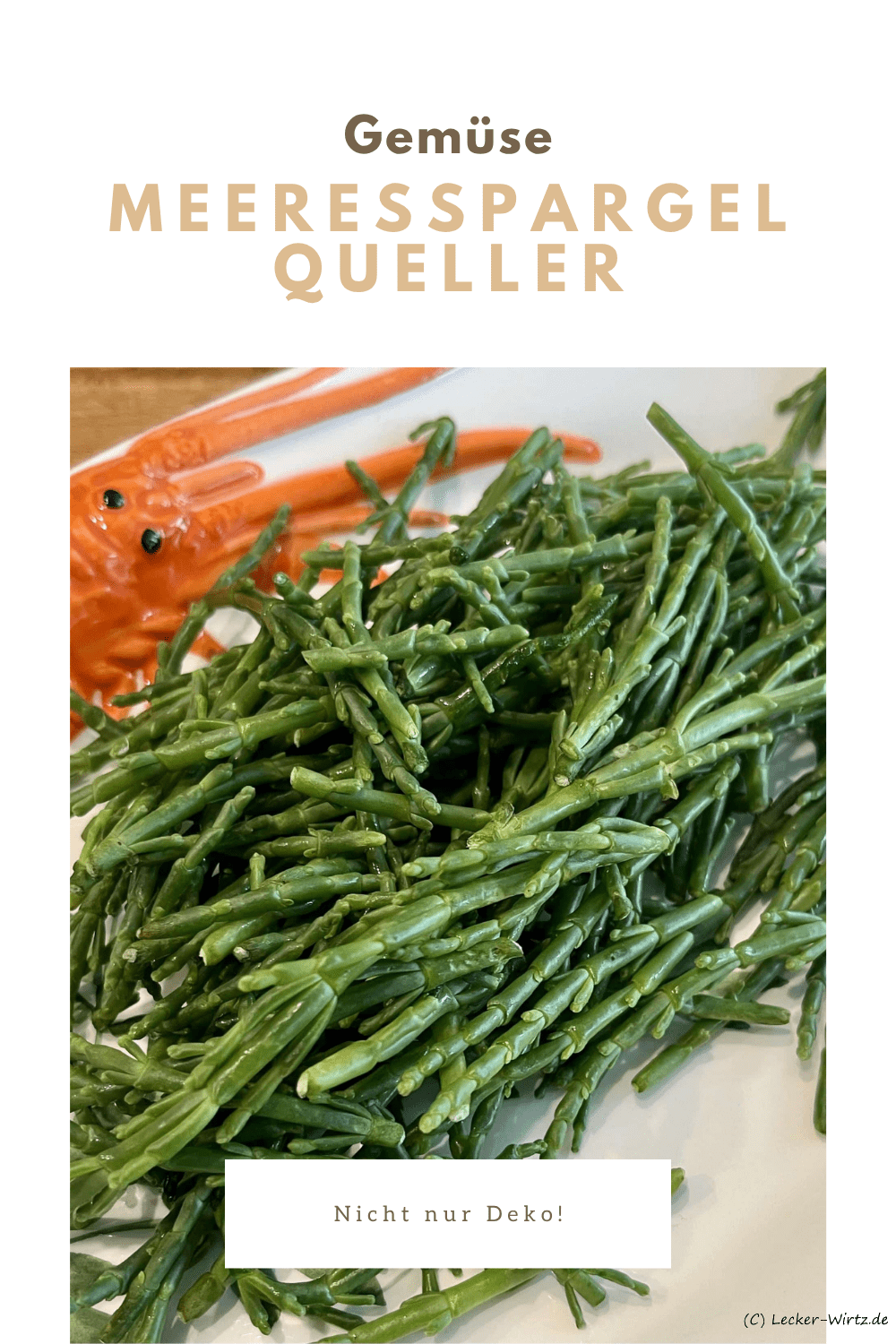 Meeresspargel - Queller