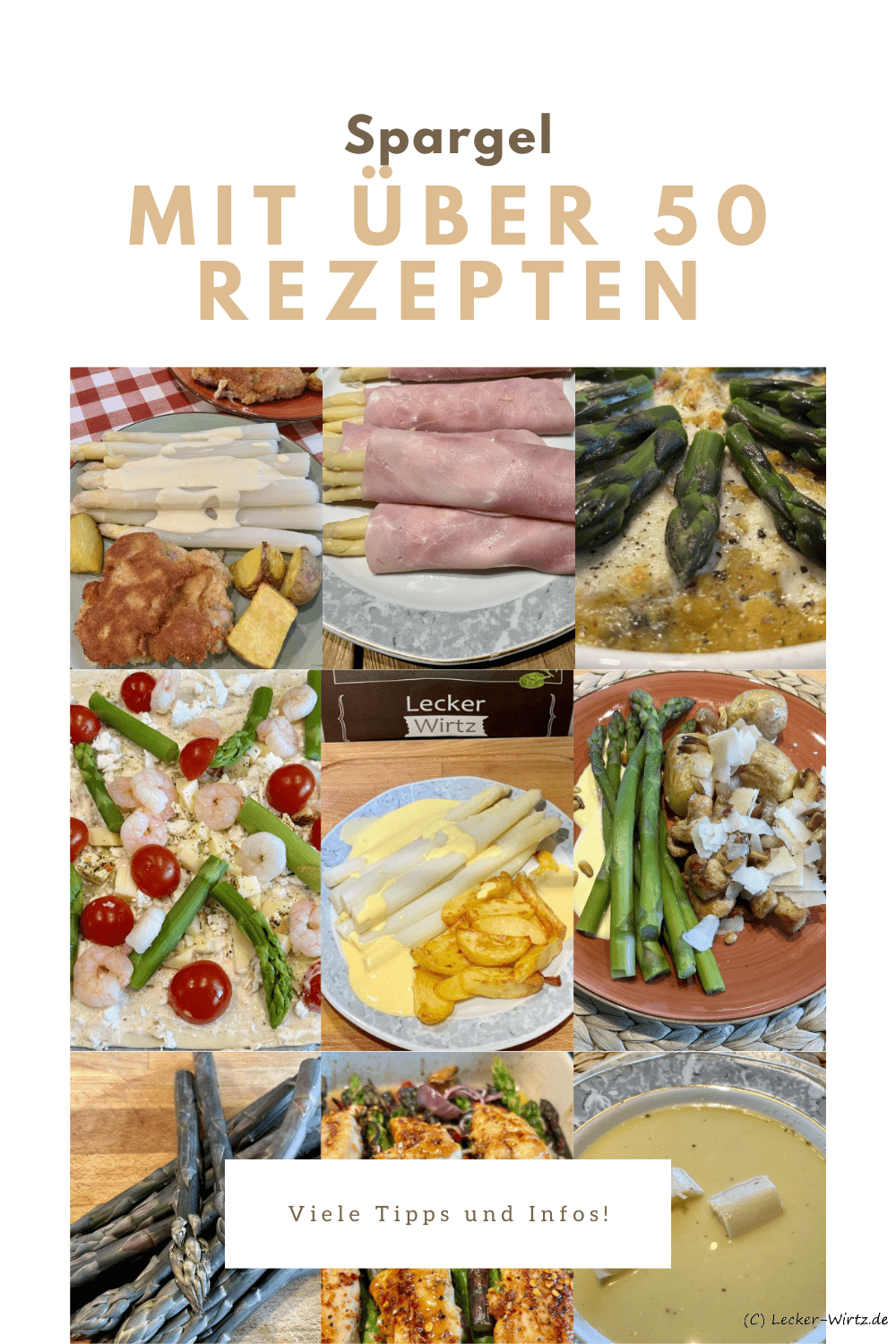 Spargel Rezepte, Infos und Tipps