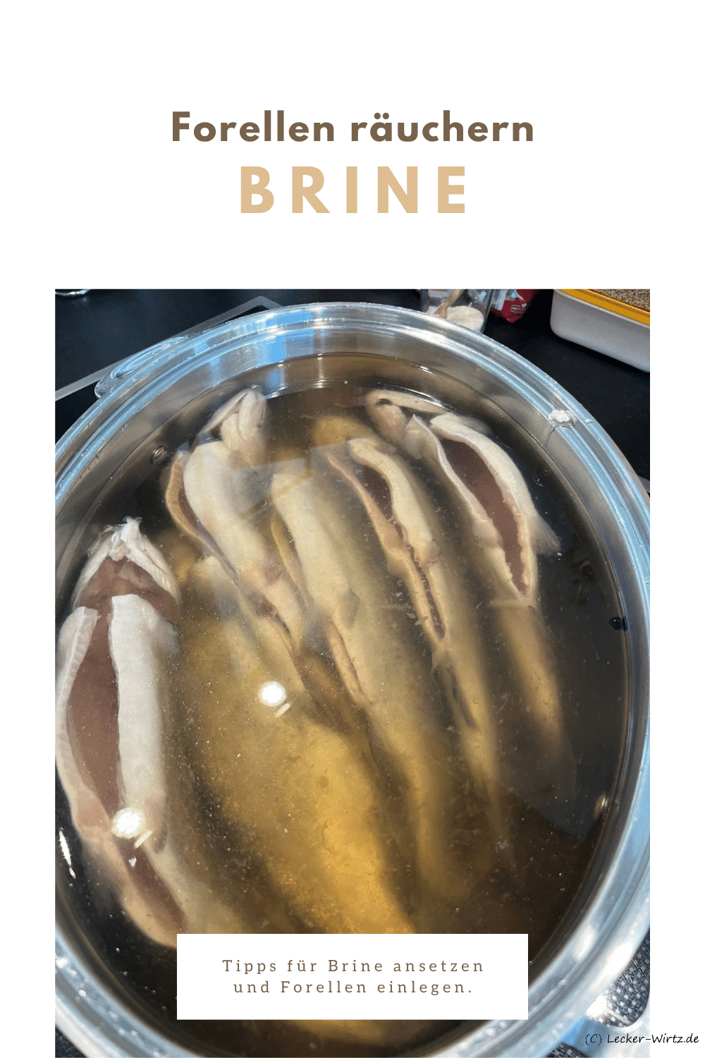Brine für geräucherte Forelle