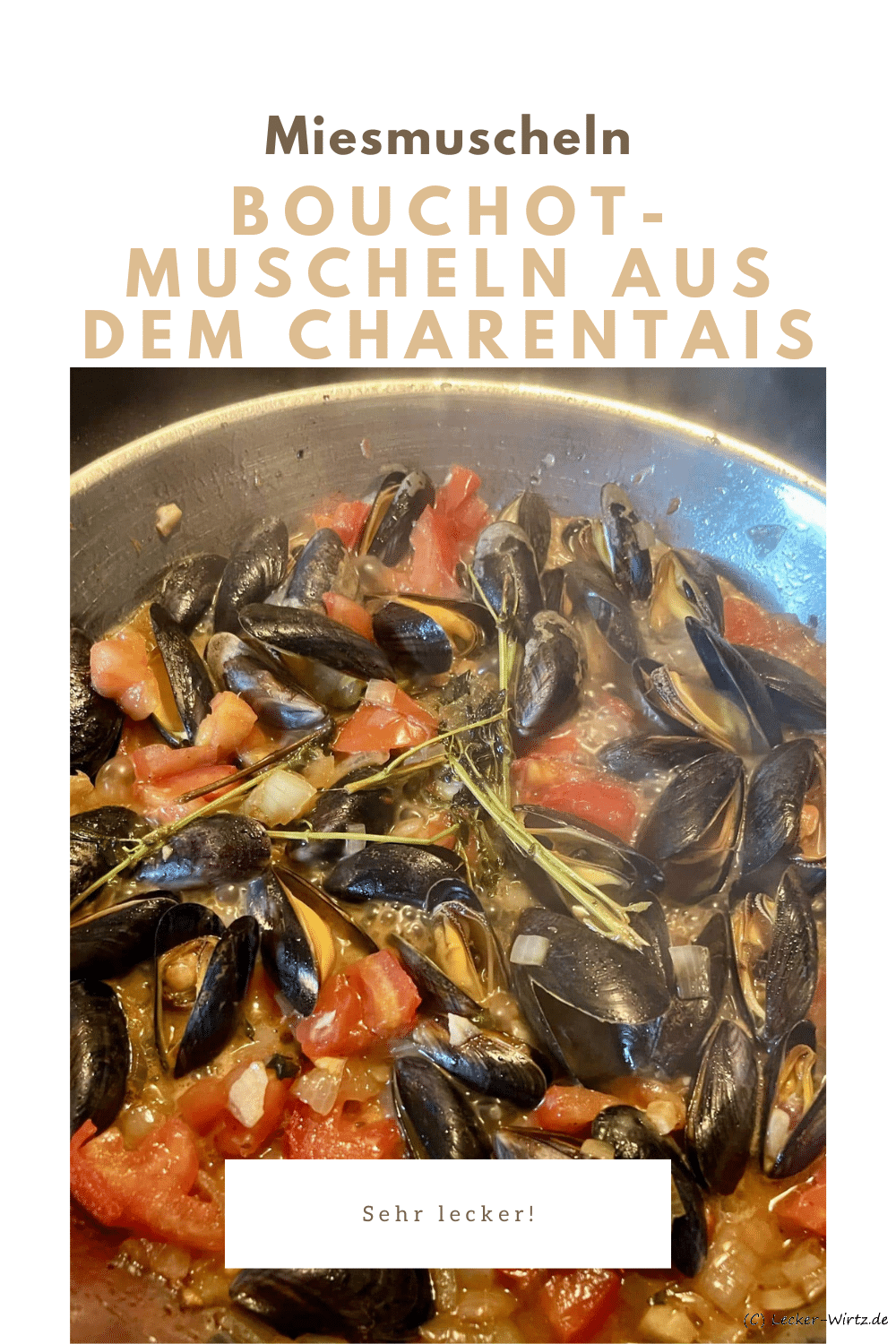 Bouchot-Muscheln aus dem Charentais