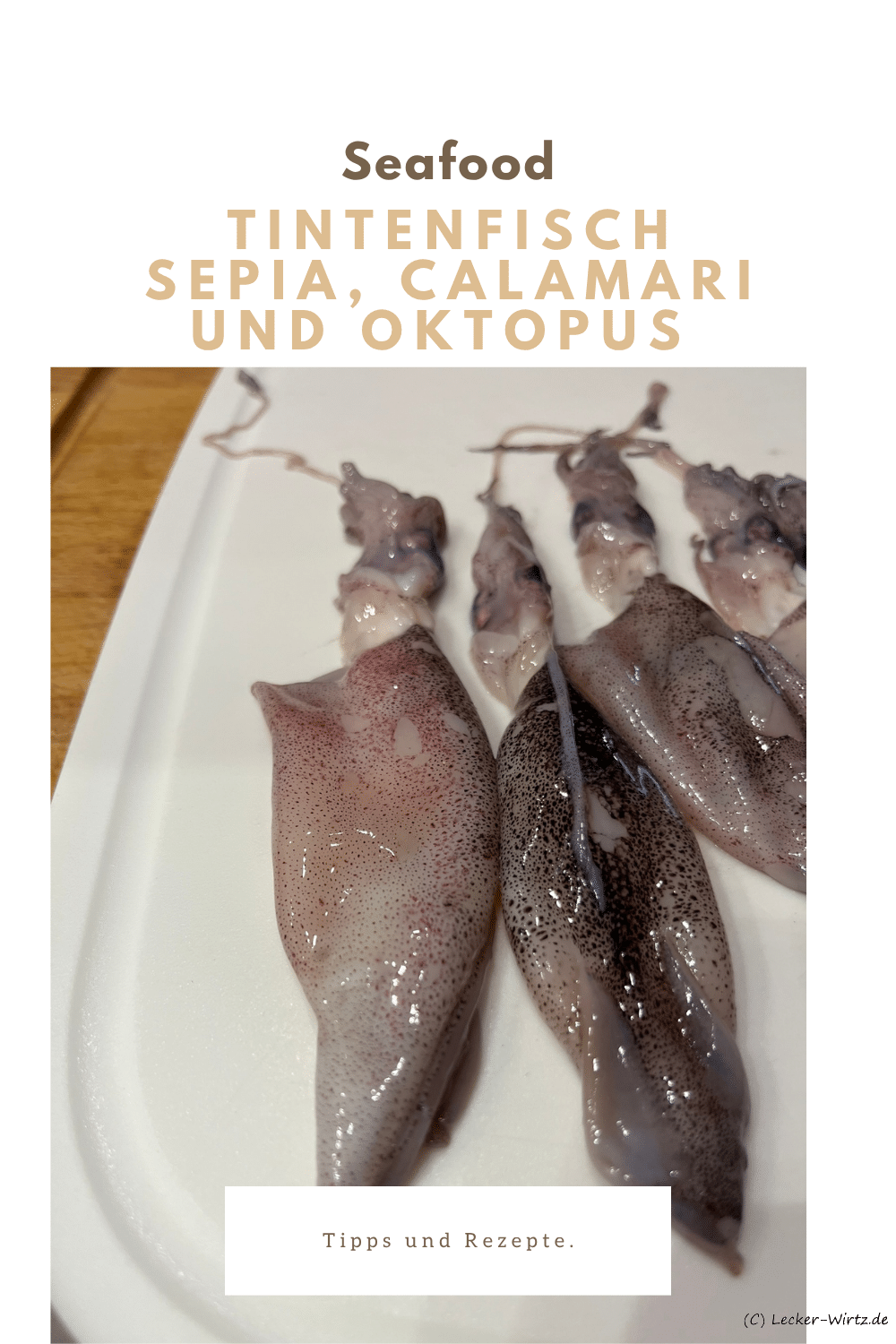 Tintenfisch – Sepia, Calamari und Oktopus richtig zubereiten